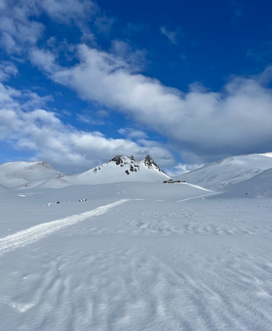 Фото организации