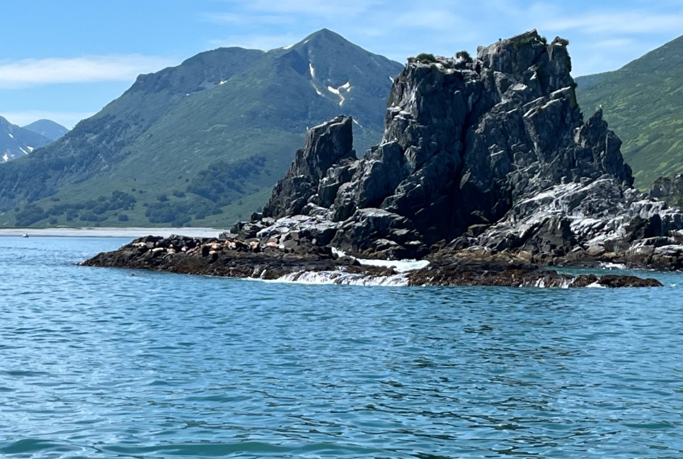 Фото организации