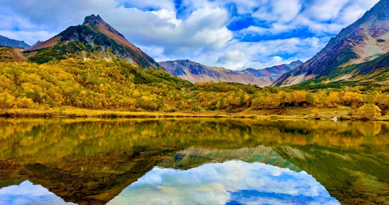 Фото организации