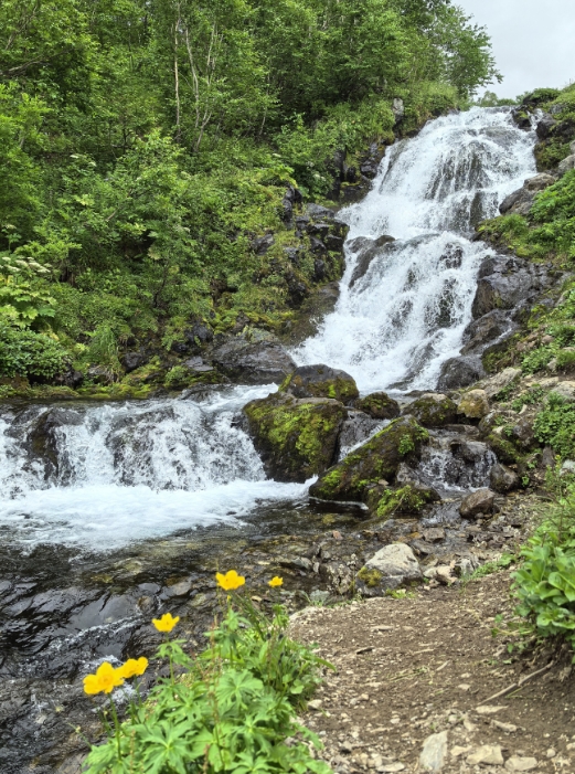 Фото организации