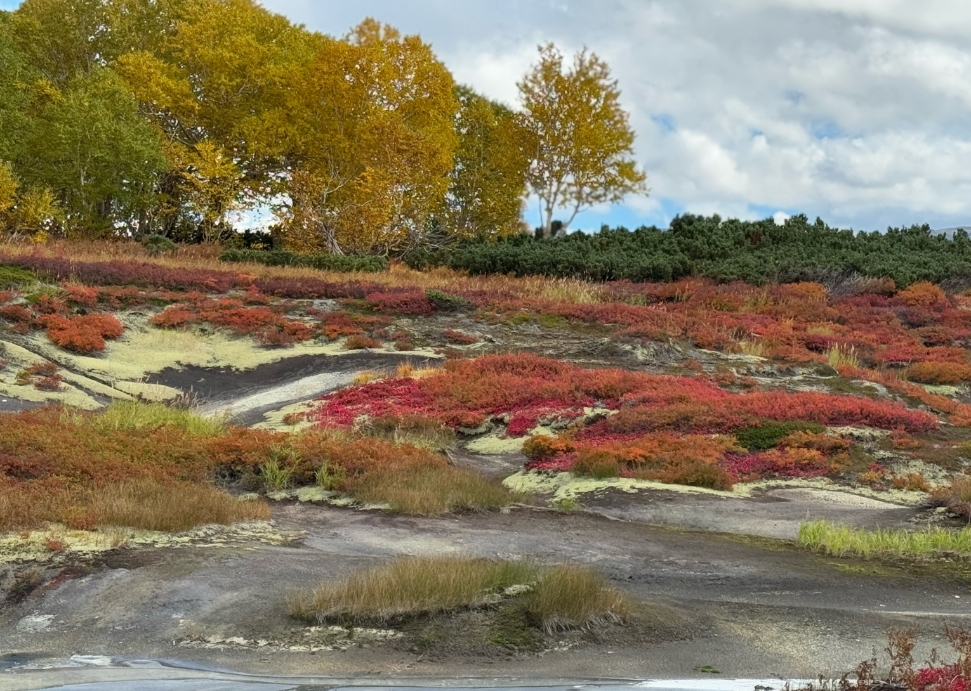 Фото организации