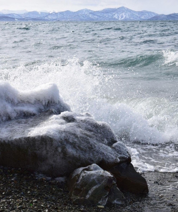 Фото организации