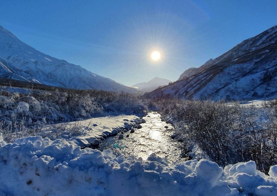 Фото организации