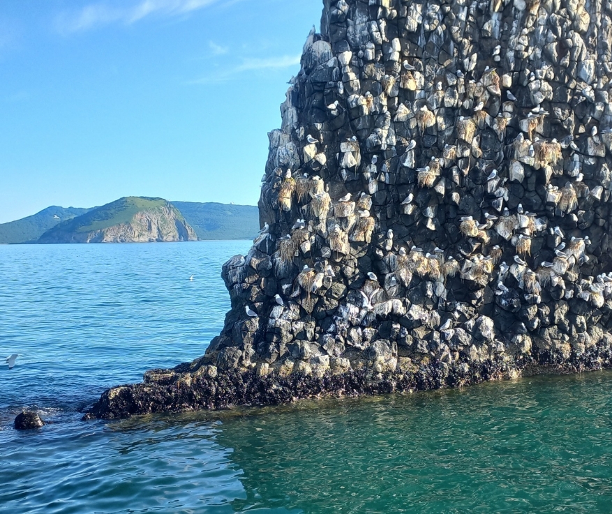 Фото организации