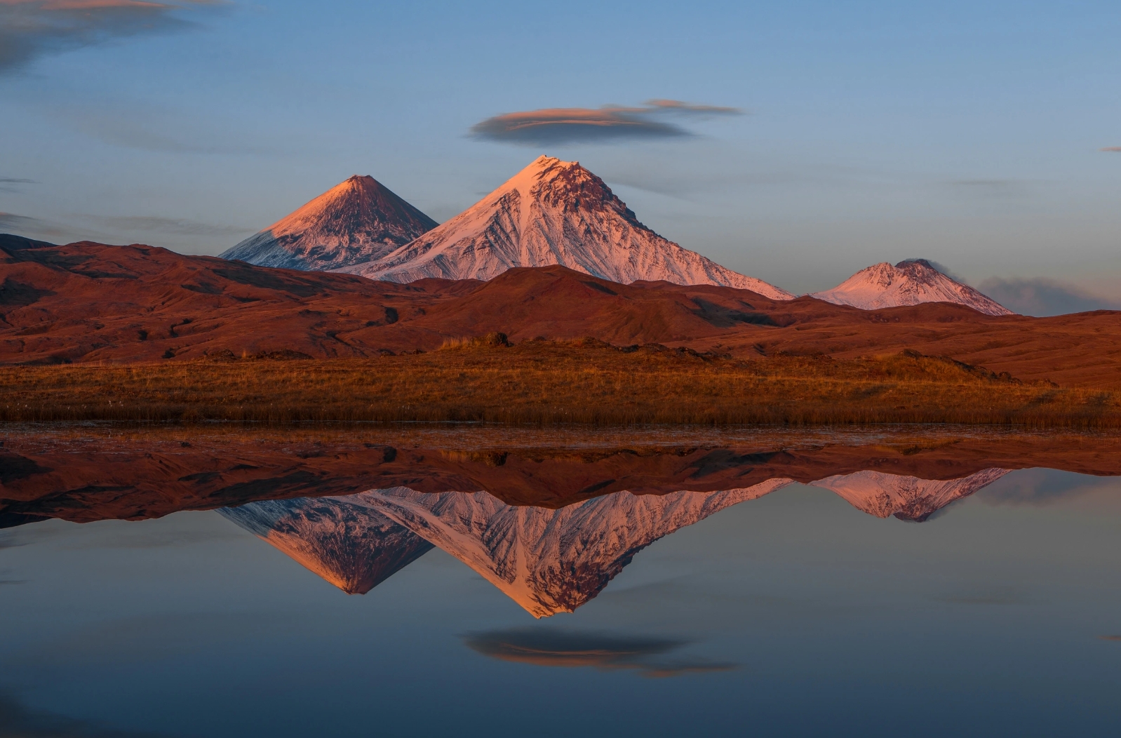 Фото организации