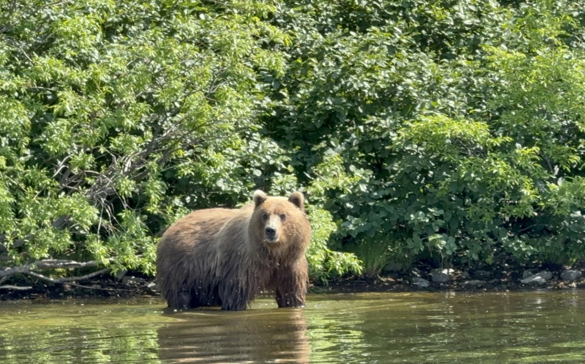 Фото организации