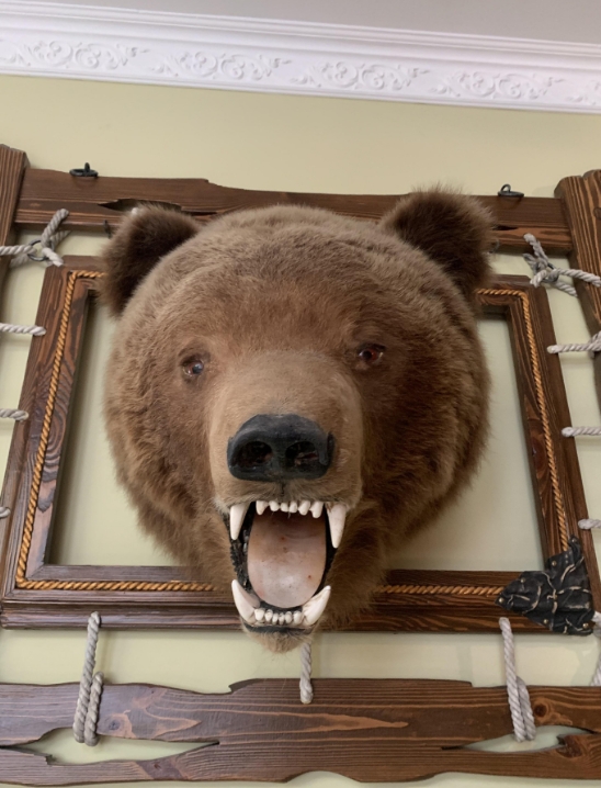 Фото организации