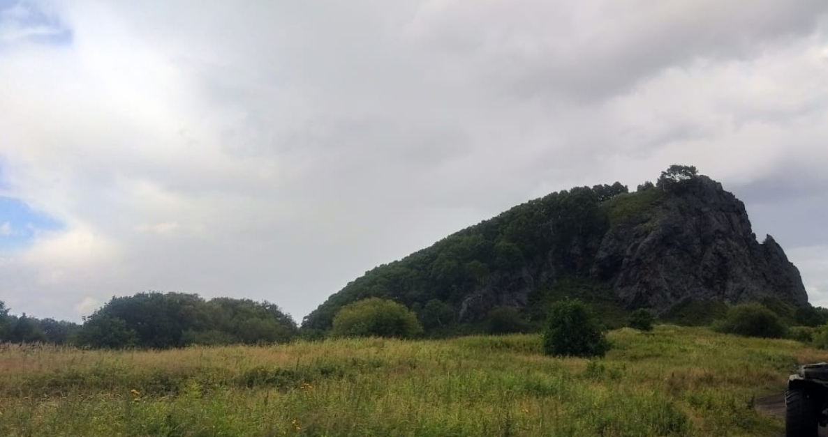 Фото организации