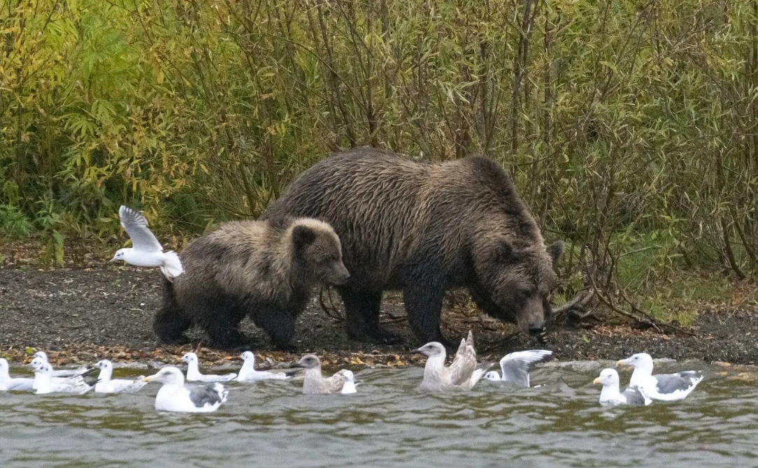Фото организации