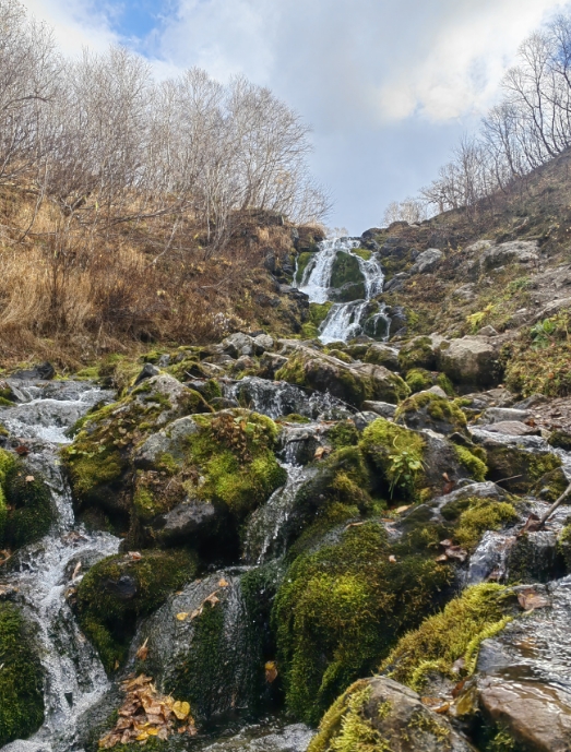 Фото организации