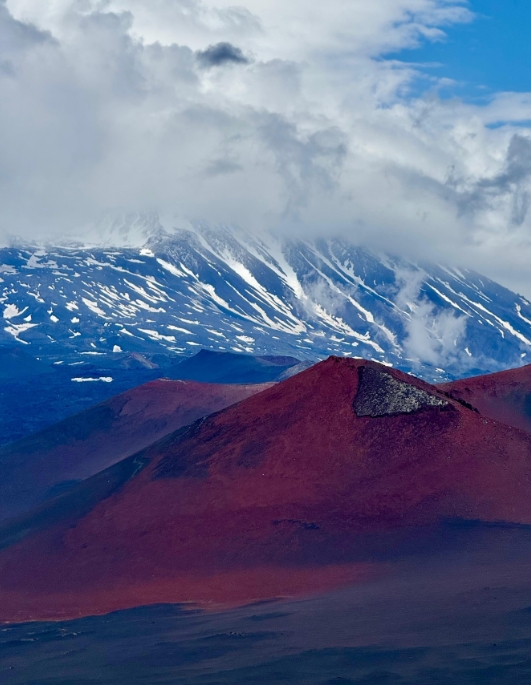 Фото организации