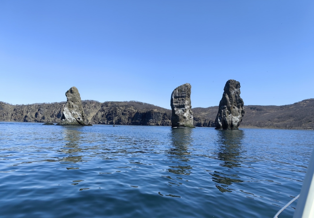 Фото организации