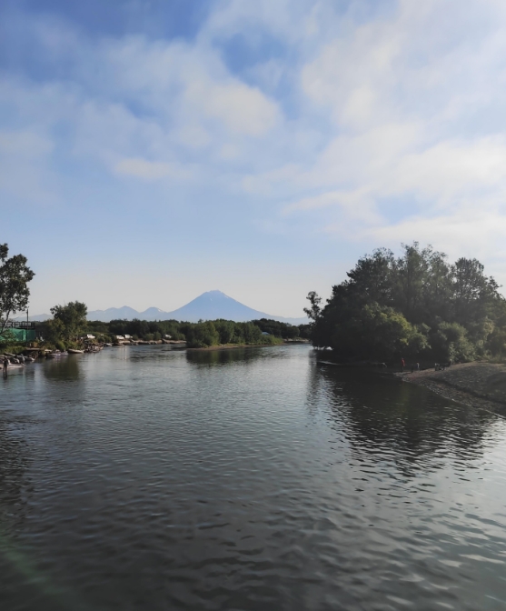 Фото организации