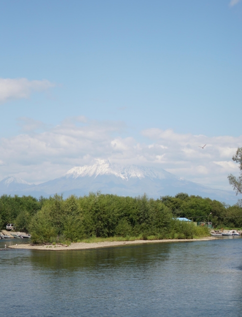 Фото организации