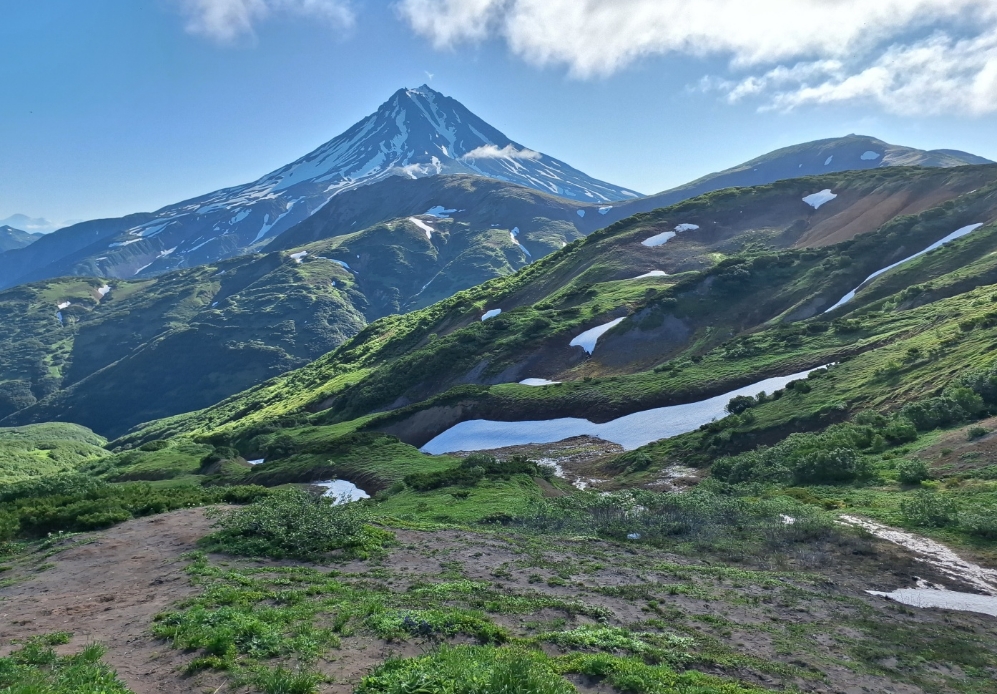Фото организации