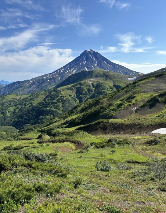 Фото организации