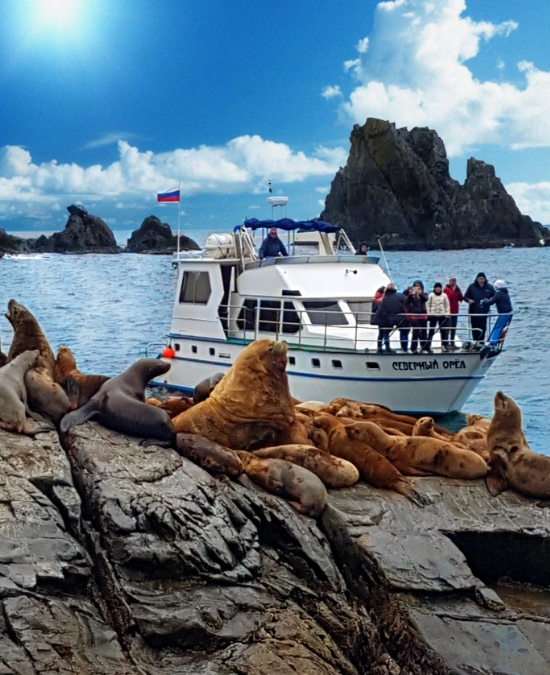 Фото организации