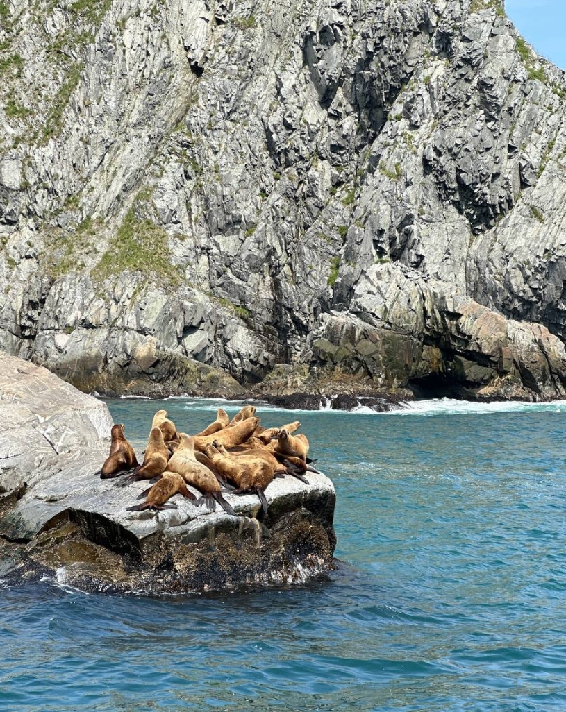 Фото организации