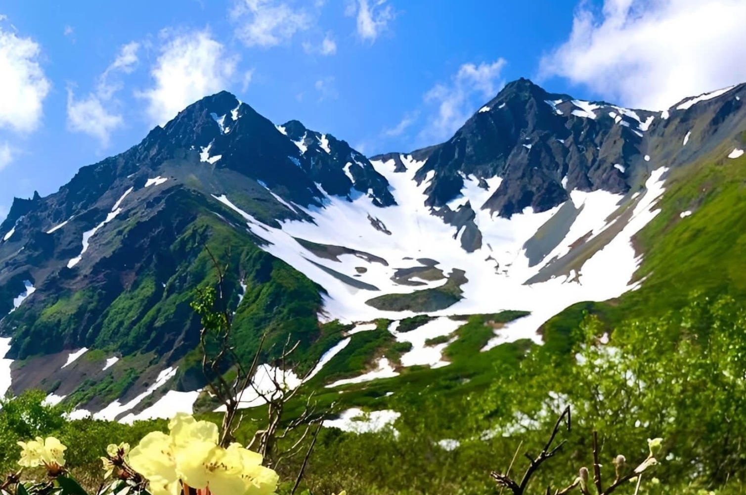 Фото организации