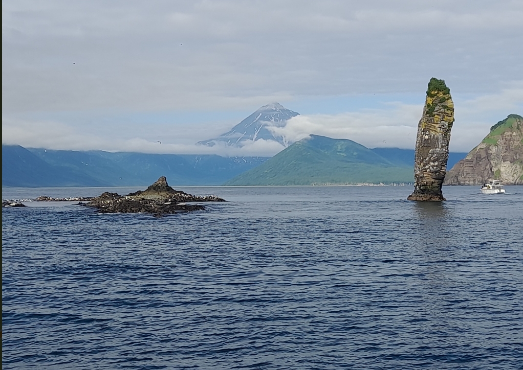 Фото организации