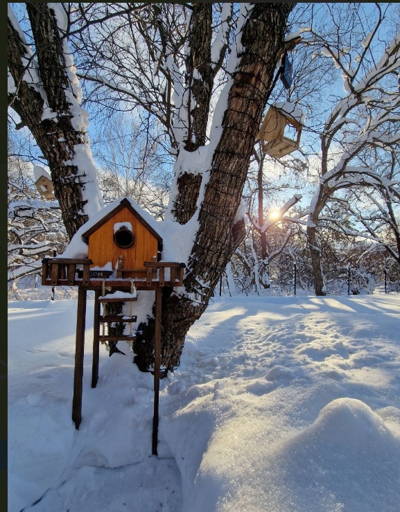 Фото организации