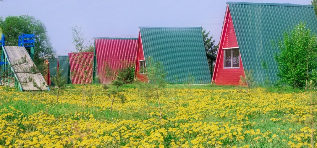 Фото организации