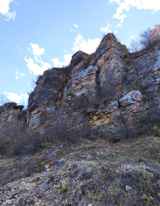 Фото организации