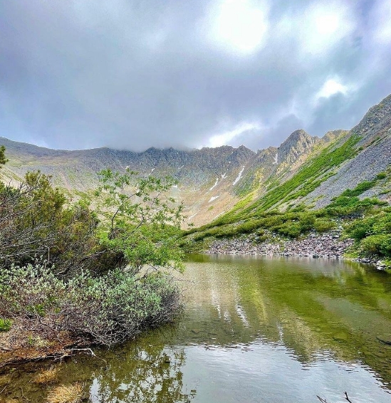 Фото организации