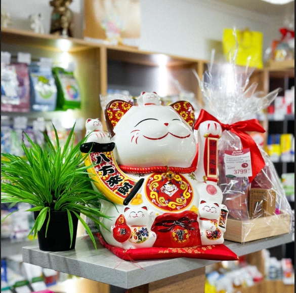 Фото организации