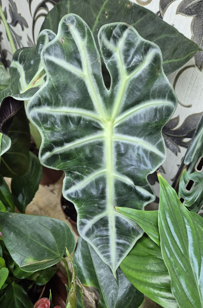 Фото организации