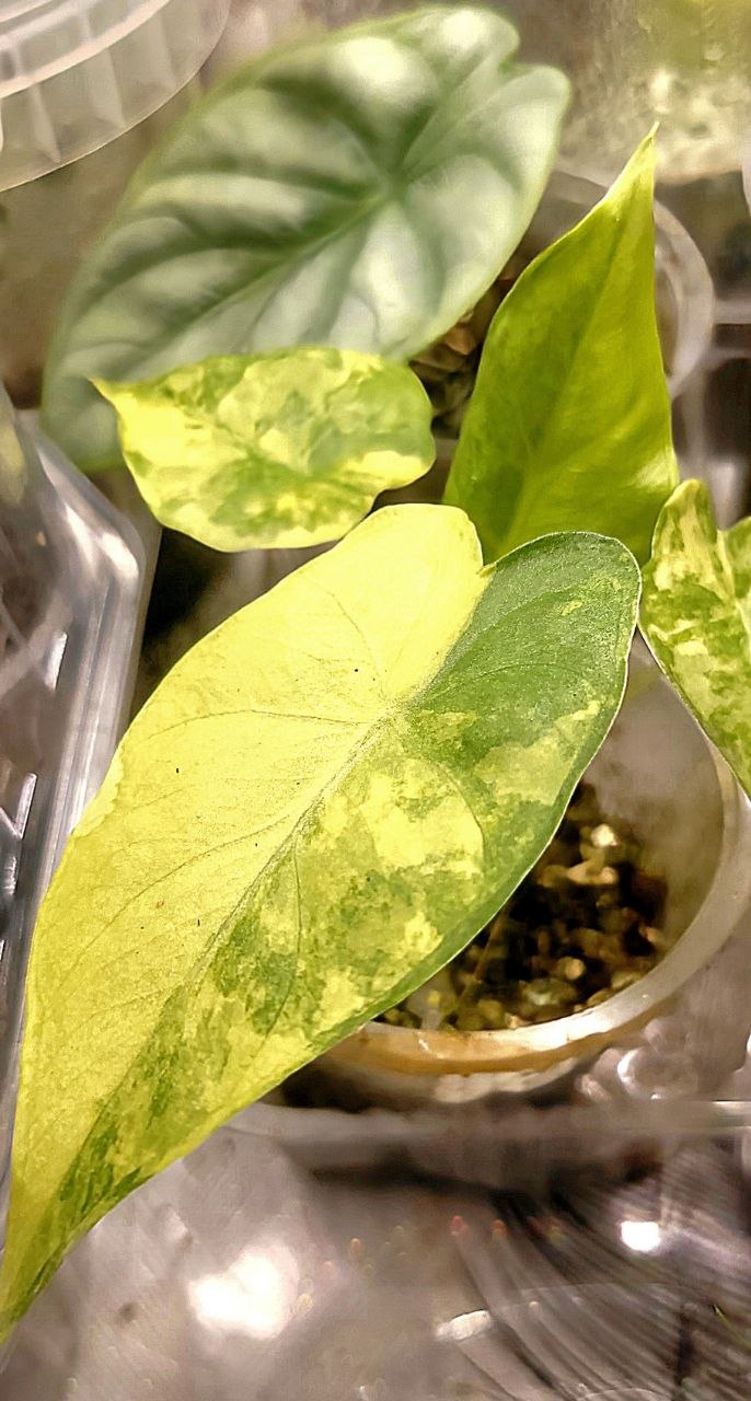 Фото организации