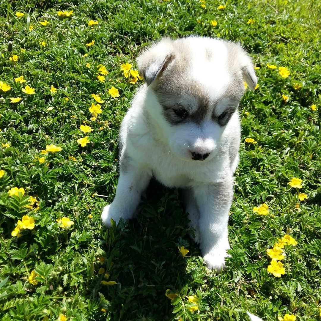 Фото организации