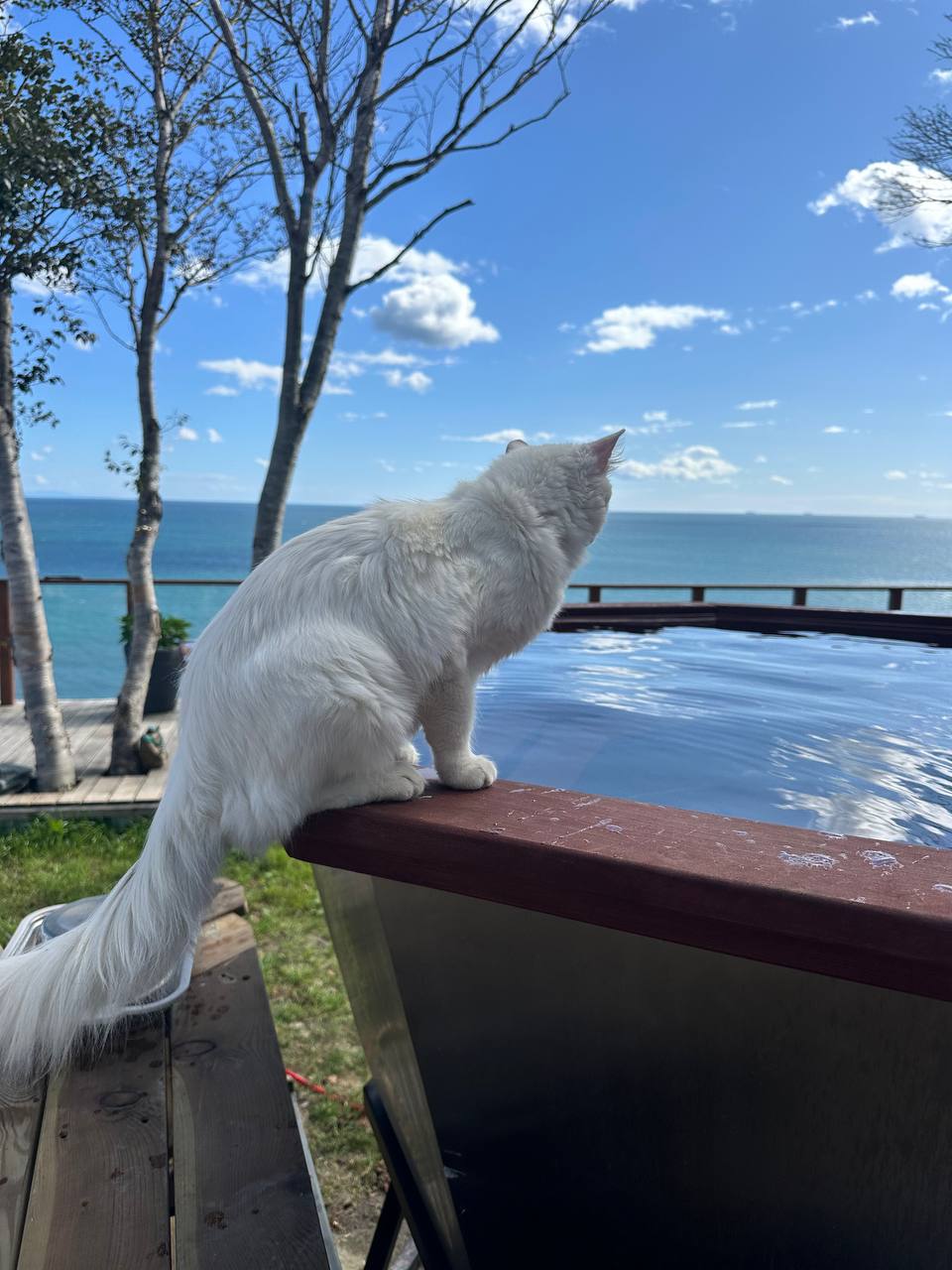 Фото организации