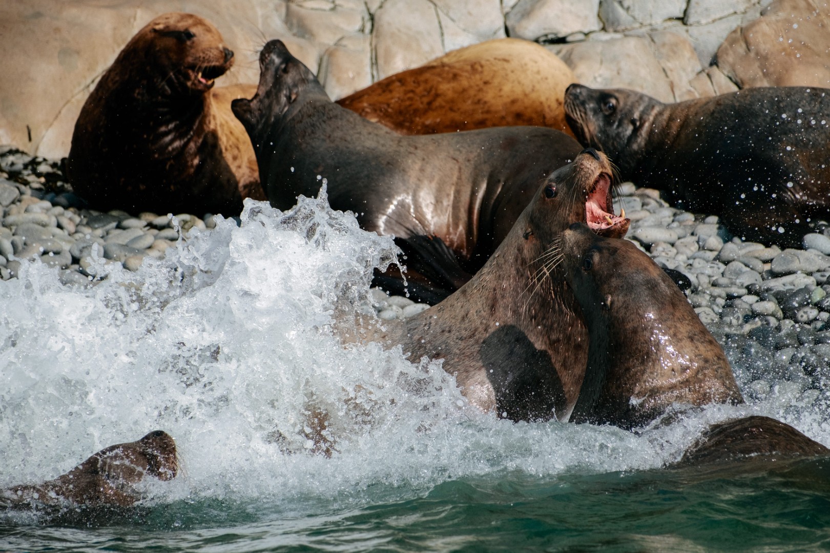 Фото организации