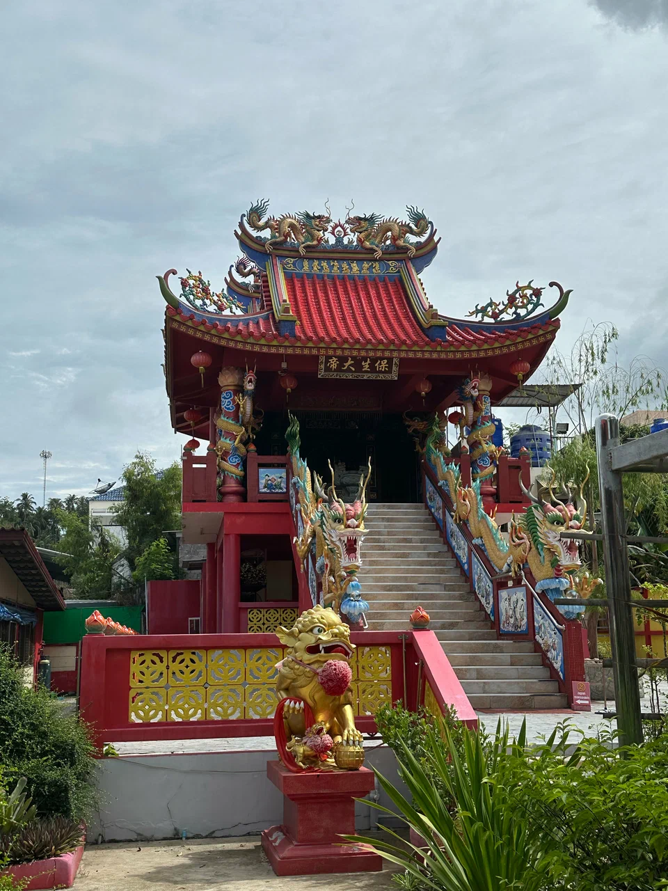 Фото организации