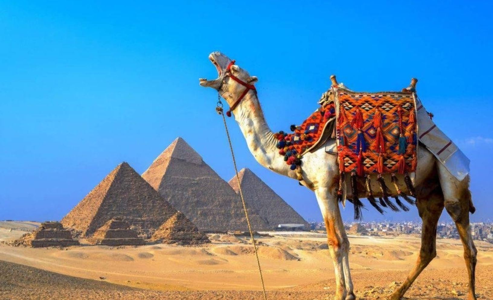 Фото организации