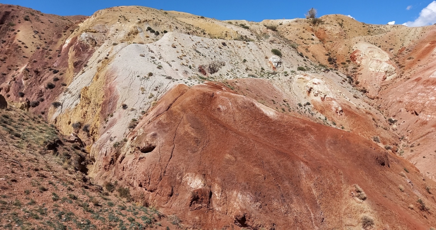 Фото организации